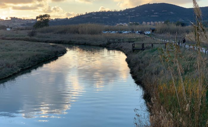 Castiglione della Pescaia e dintorni Agriturismo Bocci
