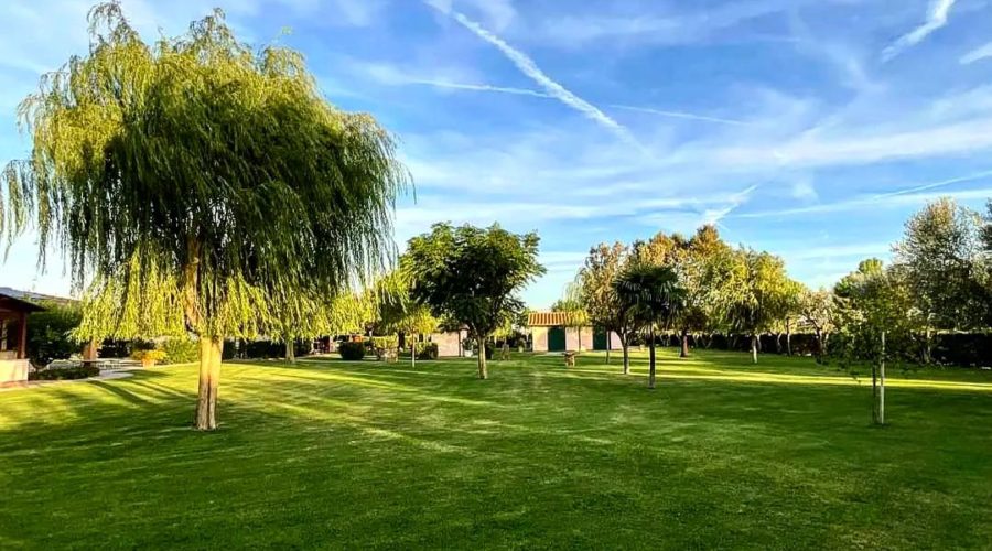 Agriturismo Maremma vicino al mare Castiglione Agriturismo Bocci