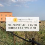 Alla scoperta della Diaccia Botrona - Vacanze in Agriturismo Castiglione della Pescaia Agriturismo Bocci