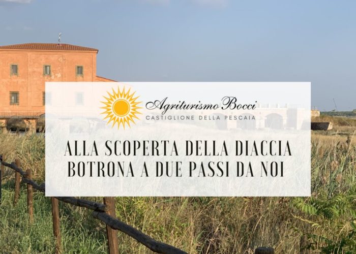 Alla scoperta della Diaccia Botrona - Vacanze in Agriturismo Castiglione della Pescaia Agriturismo Bocci