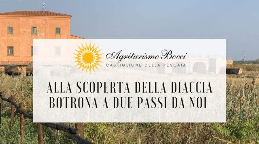 Alla scoperta della Diaccia Botrona - Vacanze in Agriturismo Castiglione della Pescaia Agriturismo Bocci
