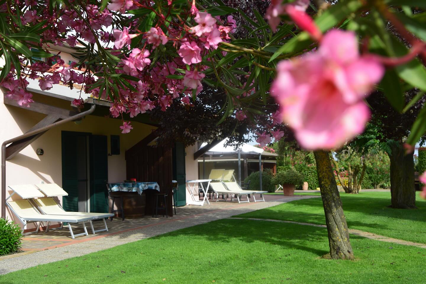 dove dormire castiglione della pescaia Agriturismo Bocci