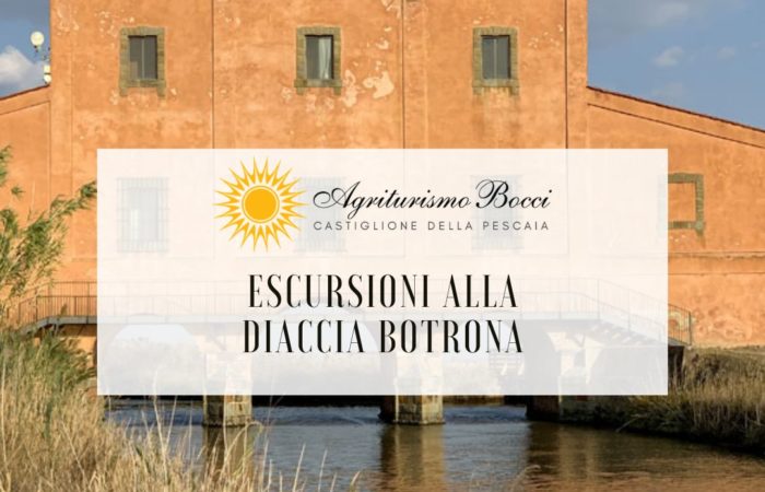 Cosa fare a Castiglione della Pescaia escursioni Diaccia Botrona Agriturismo Bocci