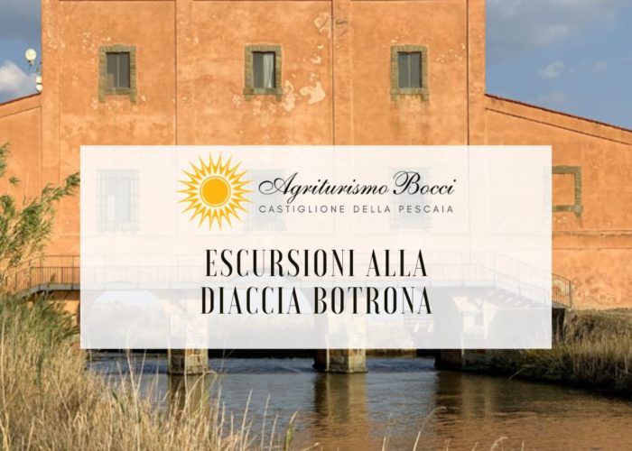 Cosa fare a Castiglione della Pescaia escursioni Diaccia Botrona Agriturismo Bocci