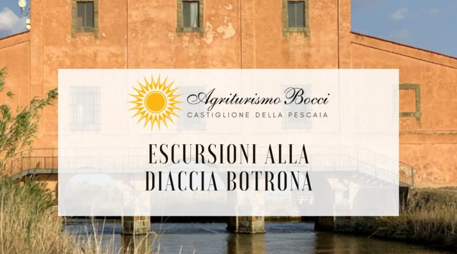 Cosa fare a Castiglione della Pescaia escursioni Diaccia Botrona Agriturismo Bocci